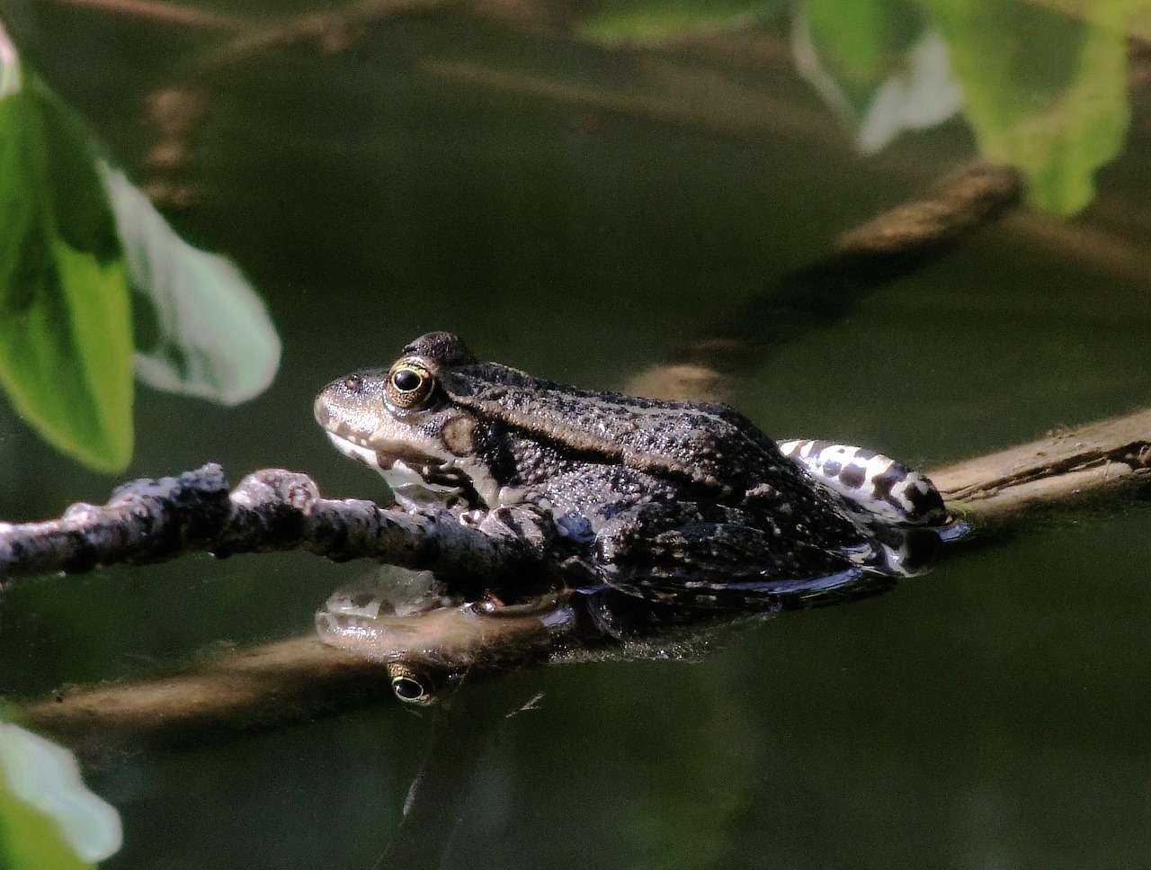 Karwei Delft Schieweg