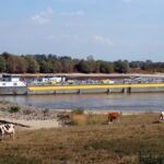 Koopzondag Zaltbommel