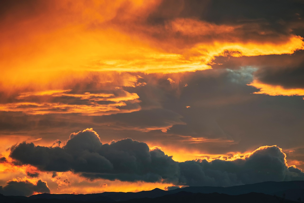 Openingstijden tijdens Sinterklaas
